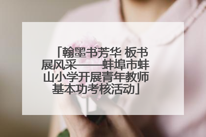 翰墨书芳华 板书展风采——蚌埠市蚌山小学开展青年教师基本功考核活动