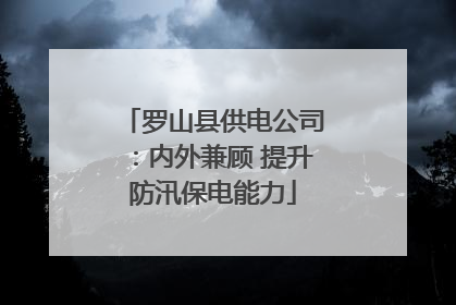 罗山县供电公司：内外兼顾 提升防汛保电能力
