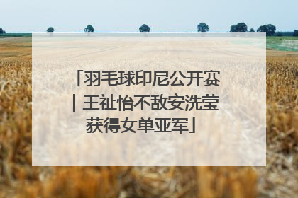 羽毛球印尼公开赛｜王祉怡不敌安洗莹 获得女单亚军