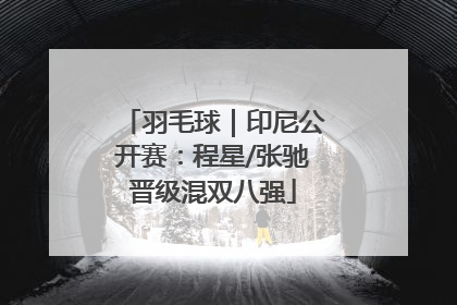 羽毛球｜印尼公开赛：程星/张驰晋级混双八强