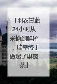 羽衣甘蓝24小时从采摘到鲜榨，瑞幸终于做起了果蔬茶