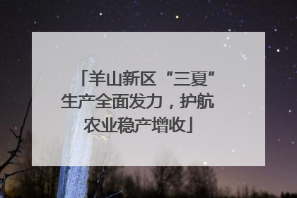 羊山新区“三夏”生产全面发力，护航农业稳产增收