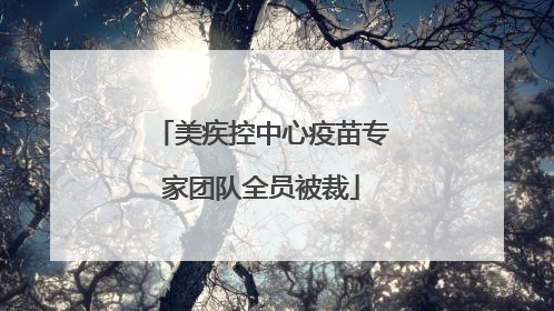 美疾控中心疫苗专家团队全员被裁