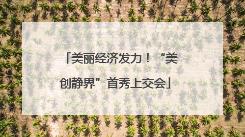 美丽经济发力！“美创静界”首秀上交会