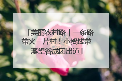 美丽农村路｜一条路带火一片村！小贺线带溪望谷成团出道
