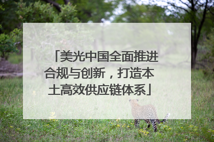 美光中国全面推进合规与创新，打造本土高效供应链体系
