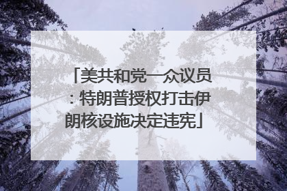 美共和党一众议员：特朗普授权打击伊朗核设施决定违宪