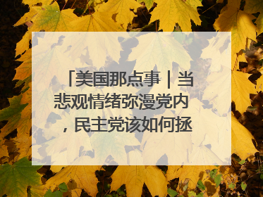 美国那点事｜当悲观情绪弥漫党内，民主党该如何拯救自己？