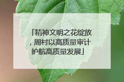 精神文明之花绽放，周村以高质量审计护航高质量发展