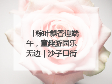 粽叶飘香迎端午，童趣游园乐无边｜沙子口街道儿童端午游园活动圆满落幕