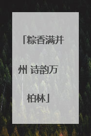 粽香满并州 诗韵万柏林