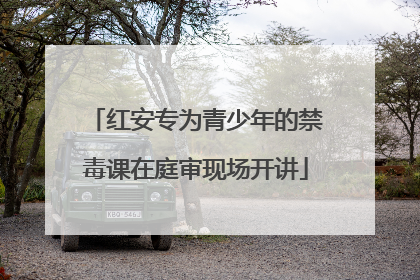 红安专为青少年的禁毒课在庭审现场开讲