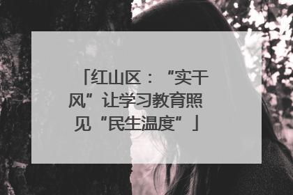 红山区：“实干风”让学习教育照见“民生温度”