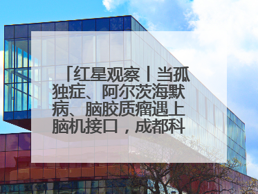 红星观察丨当孤独症、阿尔茨海默病、脑胶质瘤遇上脑机接口，成都科研改变医学图景