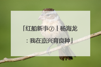 红船新事⑦丨杨海龙：我在嘉兴育良种