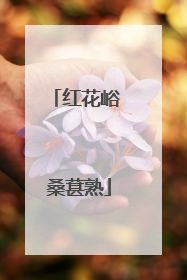 红花峪 桑葚熟