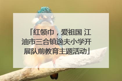 红领巾，爱祖国 江油市三合镇逸夫小学开展队前教育主题活动