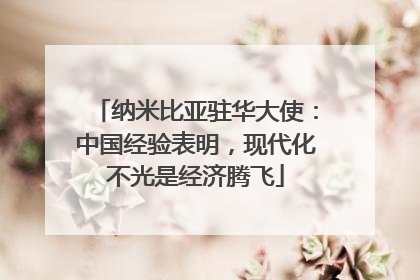 纳米比亚驻华大使：中国经验表明，现代化不光是经济腾飞