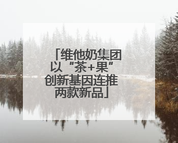 维他奶集团以“茶+果”创新基因连推两款新品