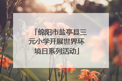 绵阳市盐亭县三元小学开展世界环境日系列活动