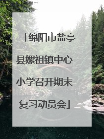 绵阳市盐亭县嫘祖镇中心小学召开期末复习动员会