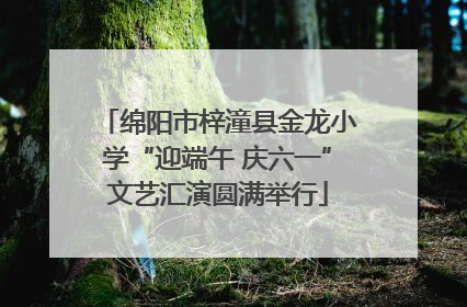 绵阳市梓潼县金龙小学“迎端午 庆六一”文艺汇演圆满举行