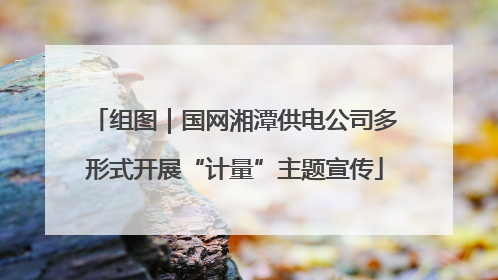 组图｜国网湘潭供电公司多形式开展“计量”主题宣传