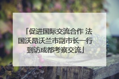 促进国际交流合作 法国沃昂沃兰市副市长一行到访成都考察交流