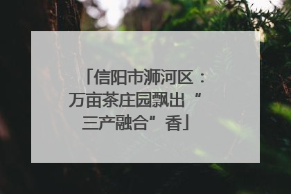 信阳市浉河区：万亩茶庄园飘出“三产融合”香