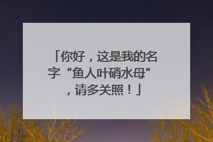你好，这是我的名字“鱼人叶硝水母”，请多关照！