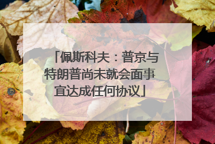 佩斯科夫：普京与特朗普尚未就会面事宜达成任何协议