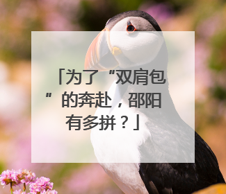 为了“双肩包”的奔赴，邵阳有多拼？