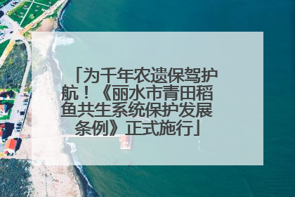 为千年农遗保驾护航！《丽水市青田稻鱼共生系统保护发展条例》正式施行