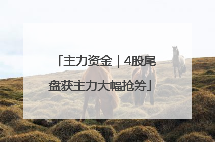 主力资金｜4股尾盘获主力大幅抢筹