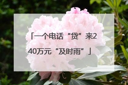 一个电话“贷”来240万元“及时雨”