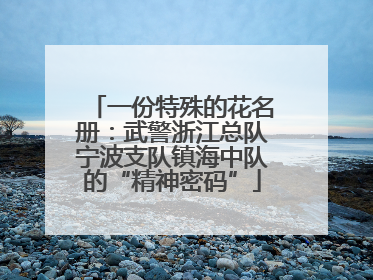 一份特殊的花名册：武警浙江总队宁波支队镇海中队的“精神密码”