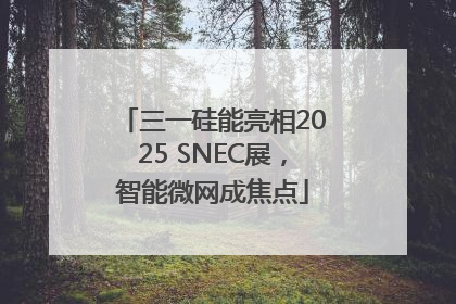 三一硅能亮相2025 SNEC展，智能微网成焦点