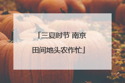 三夏时节 南京田间地头农作忙