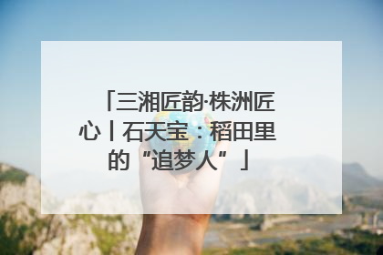 三湘匠韵·株洲匠心丨石天宝：稻田里的“追梦人”