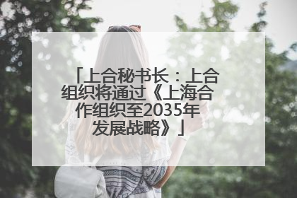 上合秘书长：上合组织将通过《上海合作组织至2035年发展战略》