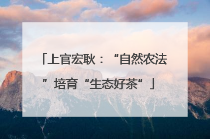 上官宏耿：“自然农法”培育“生态好茶”