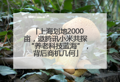 上海划地2000亩，邀腾讯小米共探“养老科技蓝海”，背后商机几何