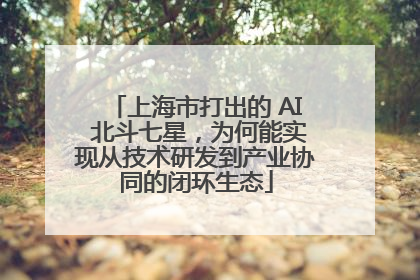 上海市打出的 AI 北斗七星，为何能实现从技术研发到产业协同的闭环生态