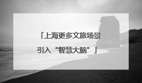 上海更多文旅场景引入“智慧大脑”