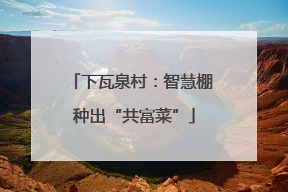 下瓦泉村：智慧棚种出“共富菜”