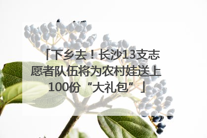 下乡去！长沙13支志愿者队伍将为农村娃送上100份“大礼包”