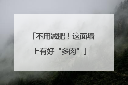 不用减肥！这面墙上有好“多肉”