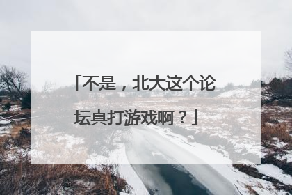 不是，北大这个论坛真打游戏啊？