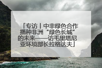 专访丨中非绿色合作播种非洲“绿色长城”的未来——访毛里塔尼亚环境部长拉格达夫
