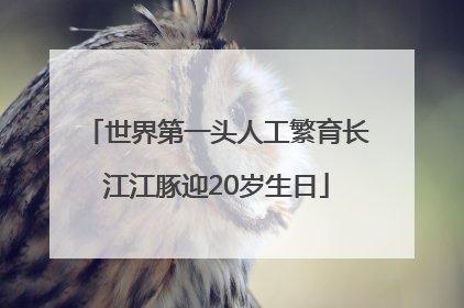 世界第一头人工繁育长江江豚迎20岁生日